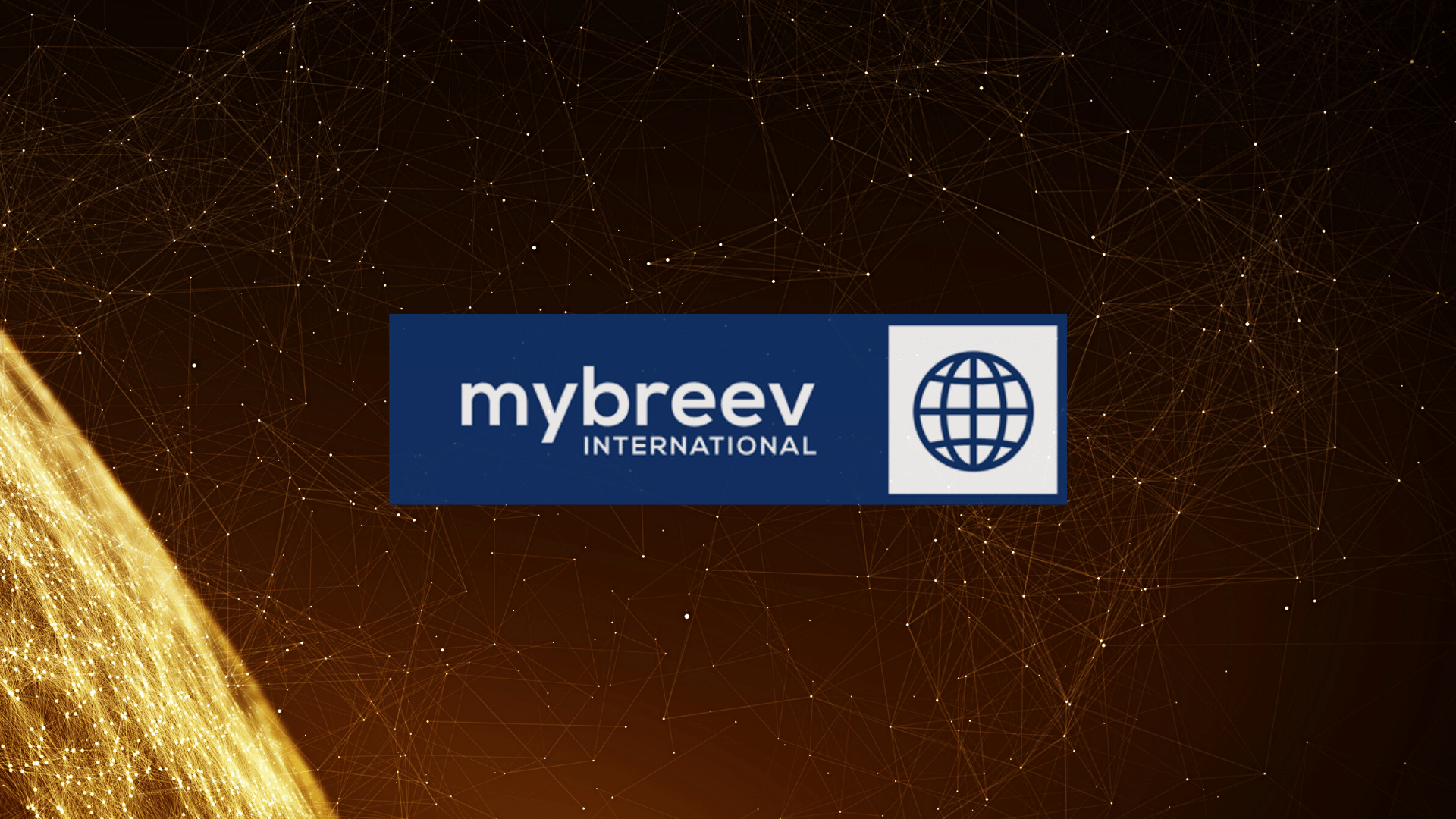 mybreev International Partner & Broker Program